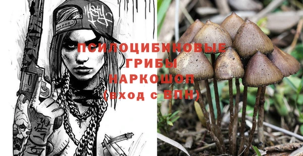 гидропоника Ивантеевка